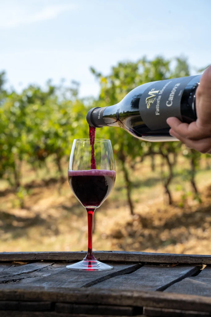 vino